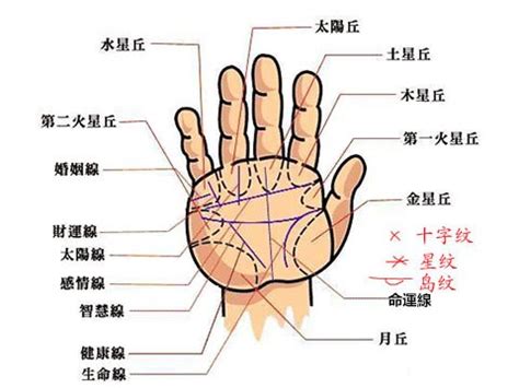 小指下方的線|史上最全手掌纹路图解大全